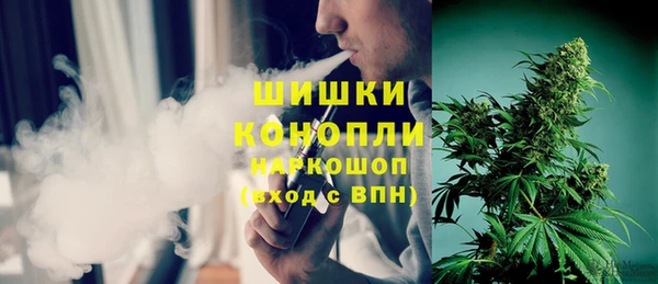 спиды Богородск