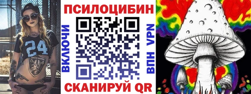 закладка  Кстово  Псилоцибиновые грибы мухоморы 